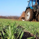 Поради аграріям: як не спричинити поганий врожай ч...