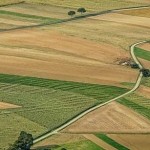 Аграріїв запрошують для участі у земельному аукціо...