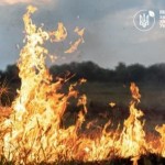 В Україні набув чинності Порядок випалювання сухої...
