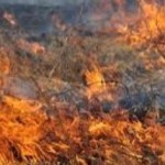 В Держекоінспекції розповіли, коли дозволено спалю...