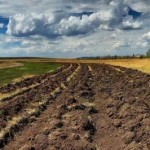 Вартість гектару паю на Львівщині на 70 % вища від...