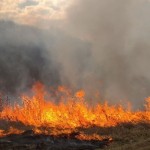 Відділ з питань оборонної роботи та цивільного зах...