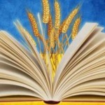 В Україні відзначають День української писемності ...