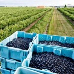 10,2 млн грн скерують на пільгове кредитування дрі...