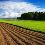 До уваги аграріїв: відбудеться аукціон з продажу п...