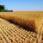 Господарства області завершують збір пізніх сільсь...