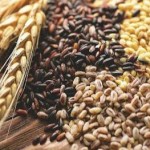 Сільськогосподарське виробництво в області зросло ...