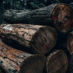 Депутати підтримали законопроєкт про ринок деревин...