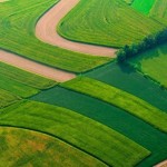 Відбудеться Всеукраїнський фермерський форум