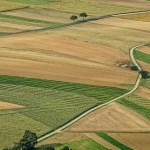 До уваги аграріїв: 22 грудня відбудеться аукціон з...