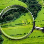До уваги аграріїв: 11 січня відбудуться земельні е...