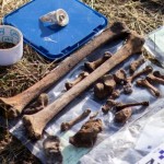 У Червоноградському районі знайшли нові артефакти ...