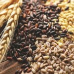 Торік Львівщина збільшила експорт на майже 27%