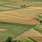 Аграріїв запрошують взяти участь у земельних аукці...
