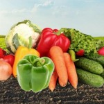 Виробники плодово-овочевої продукції області зможу...