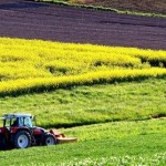 Наступного тижня відбудуться електронні аукціони з...