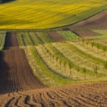 До уваги аграріїв: 27 січня відбудуться електронні...