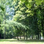 Комісія з питань екології Львівської обласної ради...