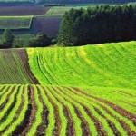 Відомості про нормативну грошову оцінку земель Льв...
