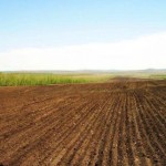 Аграріїв запрошують взяти участь в електронних тор...