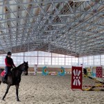 Для любителів кінного туризму: які є пропозиції на...