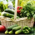Виробники ягідних та овочевих культур закритого ґр...