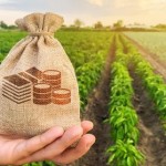 До уваги аграріїв: 15 лютого відбудутся земельні е...