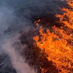 Лише за добу в області рятувальники ліквідували бі...