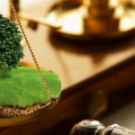 Аграріїв запрошують до участі у земельних торгах 2...
