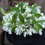 Мешканцям області нагадують: за знищення або незак...