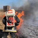 Свідомо спалювати суху траву – злочин: надзвичайни...