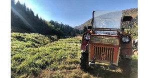 _1651583760_613x321_3_0_nw