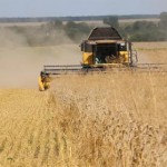 Відділ економіки та агропромислового розвитку Льві...