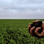 Відділ земельних відносин управління архітектури, ...