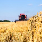 На Львівщині продовжує діяти Комплексна програма п...