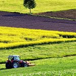 Фермерські господарства та інші виробники сільсько...
