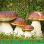 Львівська районна військова адміністрація інформує...