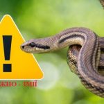 Львівська районна військова адміністрація закликає...