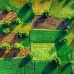 Ухвалено законопроєкт щодо відновлення системи офо...