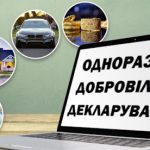 В яких випадках декларант має право подати нову зв...