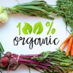 Виробники органічної продукції Львівської області ...