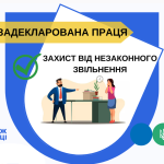 Задекларована праця = трудові і соціальні права