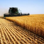Жнива-2023: аграрії Львівського району розпочали з...