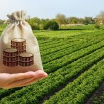 Інформація для аграріїв щодо мінімального податков...