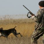 У Львівському районі проведуть санітарний відстріл...