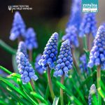 Принципи безбар’єрної мови: чому варто пам’ятати, ...