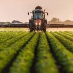 Уряд розширив напрями підтримки для фермерських го...