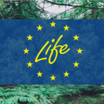 Міністерство економіки України інформує щодо реалі...