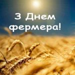 Сьогодні в Україні відзначається День фермера!