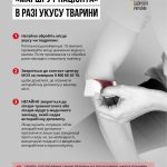 Дії пацієнта у разі укусу тварин